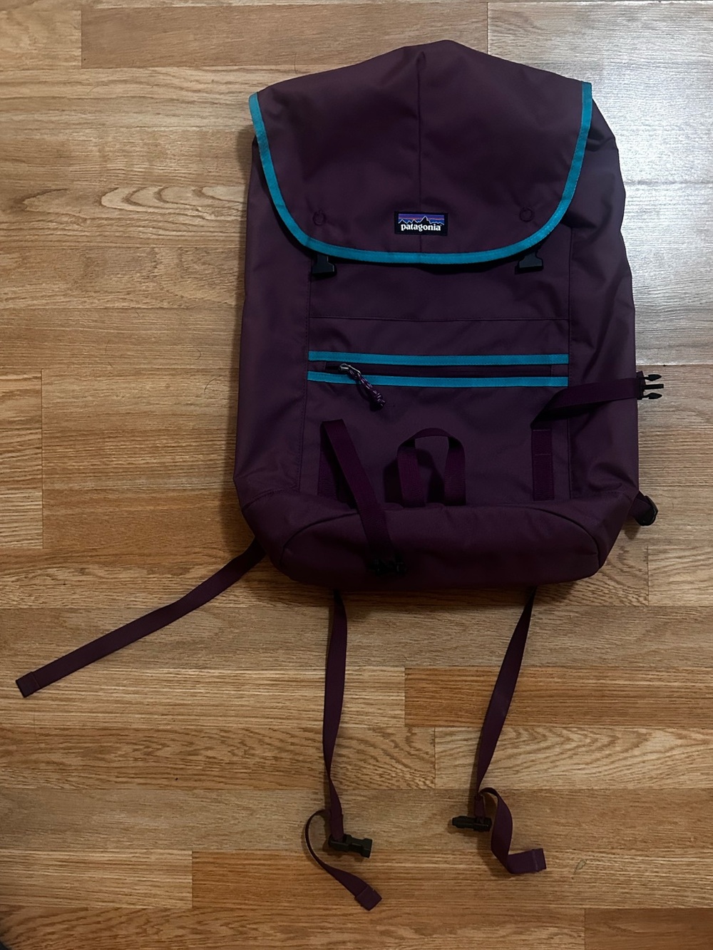 Patagonia Purple Backpack with Teal Accent Trim